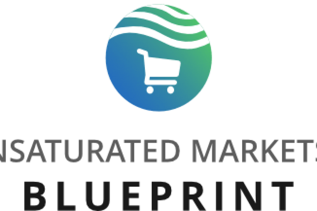 Daniel Spurman – Unsaturated Markets™ Blueprint