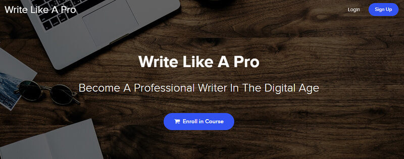 Write Like A Pro - Niklas Göke